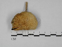 登錄號:F0028731藏品圖，第1張