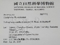 登錄號:F0028732藏品圖，第2張
