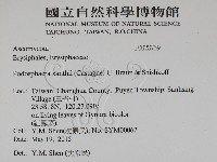 登錄號:F0028739藏品圖，第2張