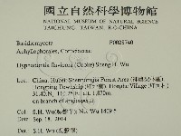登錄號:F0028740藏品圖，第2張
