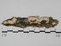 登錄號:F0028741藏品圖，第1張