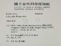 栓菌屬藏品圖，第2張