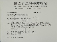 登錄號:F0028743藏品圖，第2張