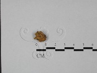 登錄號:F0028743藏品圖，第3張