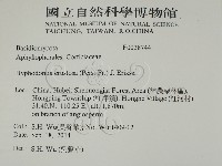 登錄號:F0028744藏品圖，第2張
