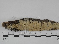 登錄號:F0028744藏品圖，第3張