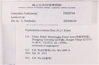 登錄號:F0028744藏品圖，第4張