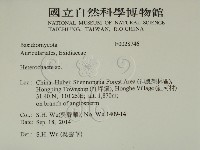 刺皮菌屬藏品圖，第2張
