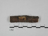 登錄號:F0028748藏品圖，第1張