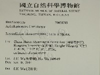 登錄號:F0028749藏品圖，第2張