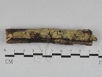 登錄號:F0028749藏品圖，第1張