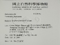登錄號:F0028750藏品圖，第2張