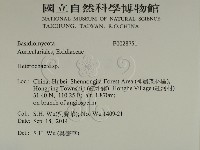 刺皮菌屬藏品圖，第2張