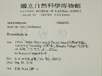 刺皮菌屬藏品圖，第2張