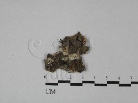登錄號:F0028753藏品圖，第1張