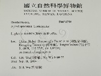 登錄號:F0028759藏品圖，第2張