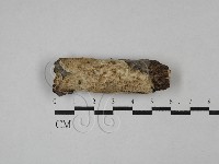 登錄號:F0028759藏品圖，第1張