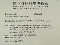 登錄號:F0028760藏品圖，第2張