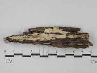 登錄號:F0028760藏品圖，第1張