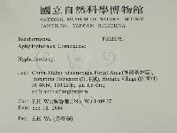 絲皮菌屬藏品圖，第2張