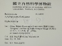 絲齒菌屬藏品圖，第2張