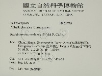 登錄號:F0028763藏品圖，第2張