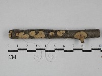登錄號:F0028763藏品圖，第1張