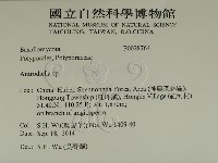 登錄號:F0028764藏品圖，第2張