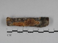 登錄號:F0028764藏品圖，第1張