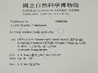 登錄號:F0028765藏品圖，第2張