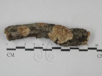 登錄號:F0028765藏品圖，第1張
