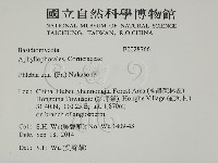登錄號:F0028766藏品圖，第2張