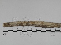 登錄號:F0028768藏品圖，第1張