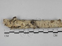 登錄號:F0028770藏品圖，第1張