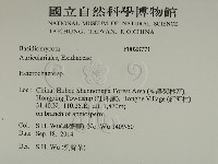 刺皮菌屬藏品圖，第2張