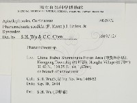 登錄號:F0028772藏品圖，第2張