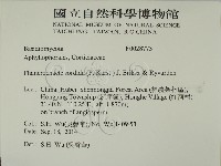 登錄號:F0028773藏品圖，第2張