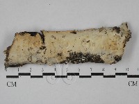 登錄號:F0028773藏品圖，第1張