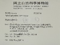 絲皮菌屬藏品圖，第2張