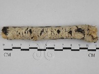 登錄號:F0028775藏品圖，第1張