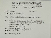 登錄號:F0028777藏品圖，第2張