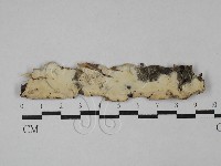 登錄號:F0028777藏品圖，第1張