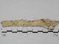 登錄號:F0028777藏品圖，第3張