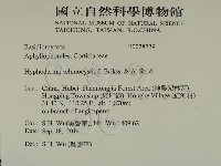 登錄號:F0028779藏品圖，第2張