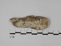 登錄號:F0028779藏品圖，第1張