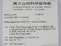 登錄號:F0028780藏品圖，第2張