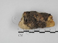 登錄號:F0028780藏品圖，第1張