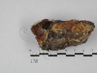 登錄號:F0028780藏品圖，第3張