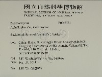 登錄號:F0028781藏品圖，第2張