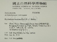 登錄號:F0028782藏品圖，第2張